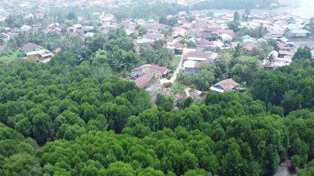 aerial view of a lush mangrove forest and tidal mudflat ecosystem, ideal for environmental conservation projects, ecological studies, and editorial backgrounds