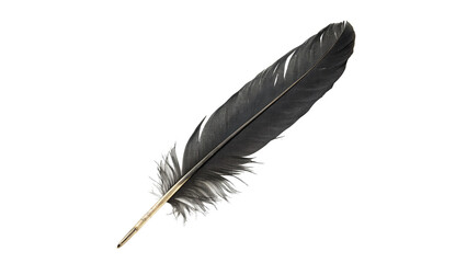 Single soft fluffy black bird feather plume delicate texture, isolated on transparent background. © Hanna
