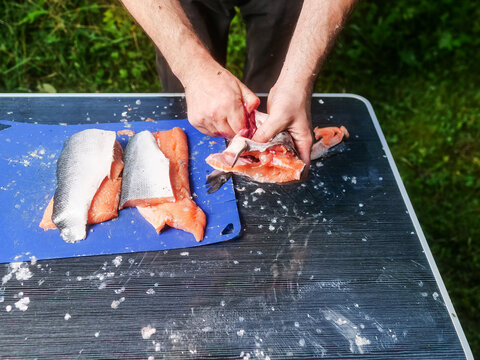 Hands filleting salmon on blue cutting board outdoors. The board is on a foldable travel camping table, green grass is in the background. Fish monger at work in well organized manner. No gloves.