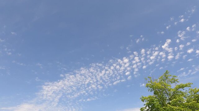 流れてくるうろこ雲