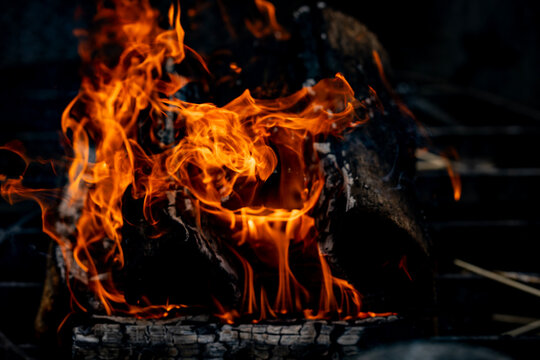 Logs with orange flames. Logs near glowing embers. Burning logs texture closeup. Firewood logs in campfire.
