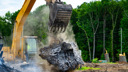Excavator performing stump removal in dust. Stump removal with heavy construction equipment. Large tree stump removal with excavator. Stump removal with hydraulic excavator bucket. © Volodymyr