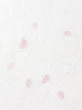 Pure white Washi, a traditional Japanese craft. Handcrafted by artisans, it features delicate watermarks, flower petals, and a rich fiber pattern born from the papermaking process.