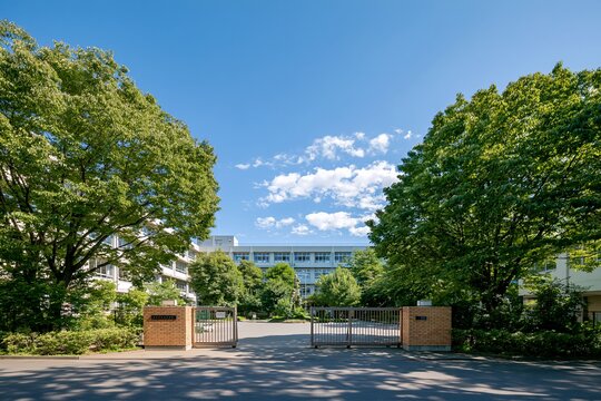 夏空と校舎を望む新緑眩しい学校の正門風景