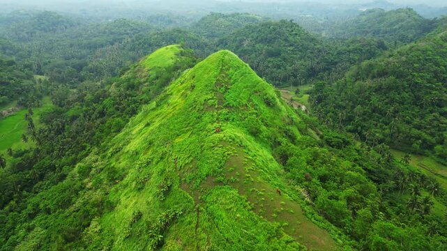 Aerial drone view of the rolling green hills of Quitinday in Camalig, Albay, Philippines, showcasing the distinctive rounded hill formations and lush tropical landscape of the Bicol Region.