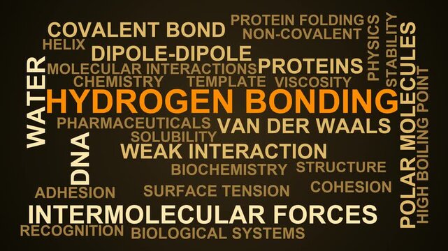 Hydrogen Bonding Word Cloud