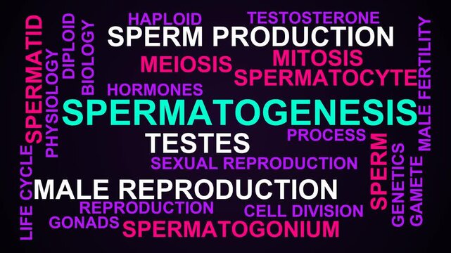 Spermatogenesis Word Cloud