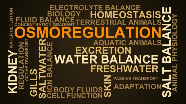 Osmoregulation Word Cloud