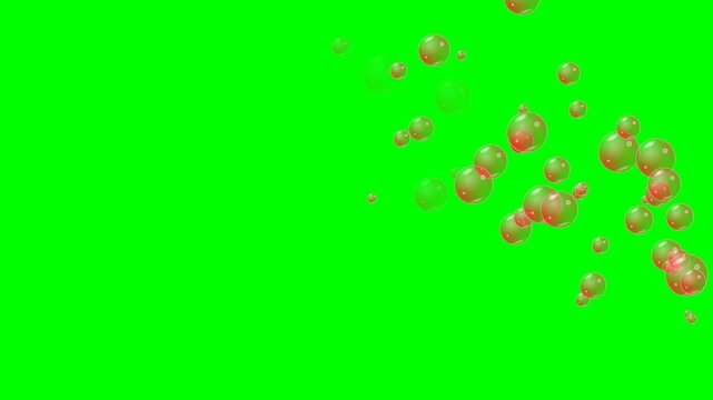 Animasi 100 gelembung kaca merah yang sangat mulus (60fps optimized), muncul dan menghilang secara berurutan dari kiri ke kanan pada layar greenscreen.