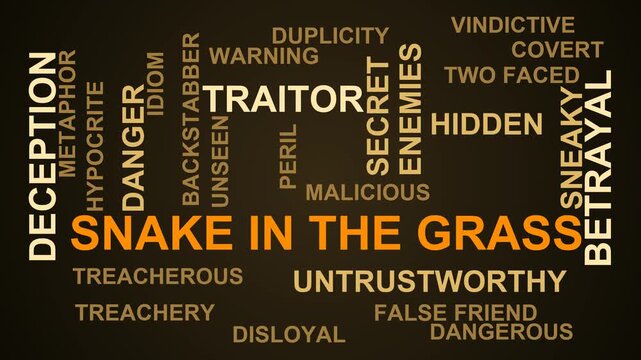 Snake In The Grass Word Cloud
