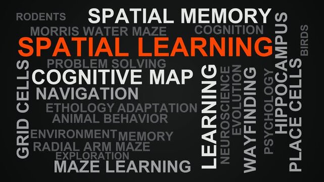 Spatial Learning Word Cloud