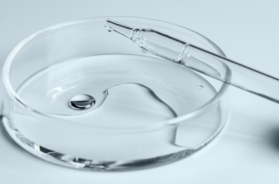Testing a transparent cosmetic product in a Petri dish.