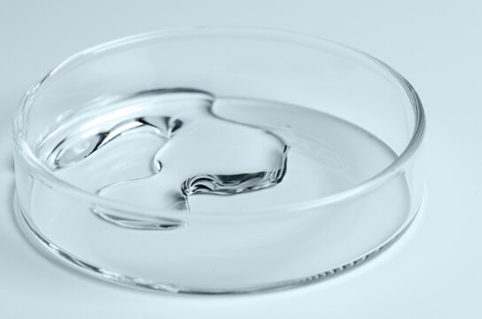 Testing a transparent cosmetic product in a Petri dish.
