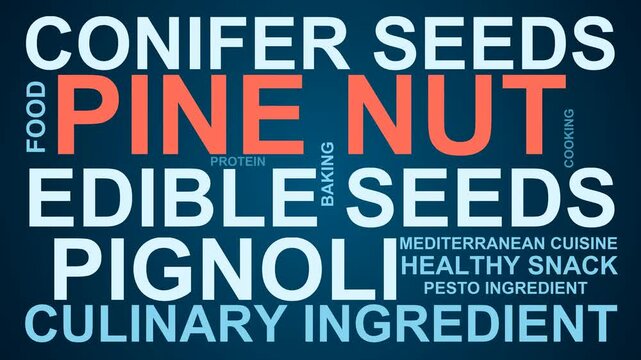 Pine Nut Word Cloud