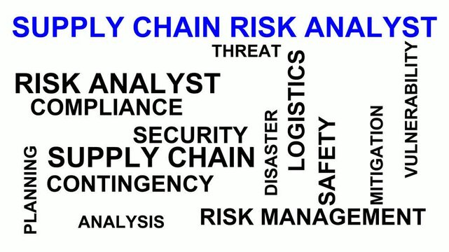 Supply Chain Risk Analyst Word Cloud