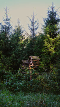 An old wooden birdhouse, painted to look like it&rsquo;s made of natural wood, hangs among the dense foliage.