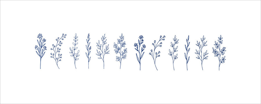 Minimalist hand drawn line art botanical branch elements for sophisticated wedding stationery and elegant branding designs