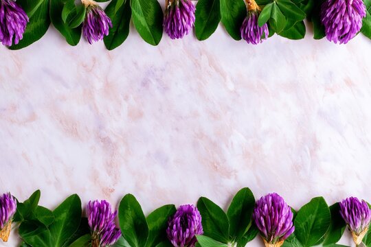 Purple flowers framing pale pink textured background