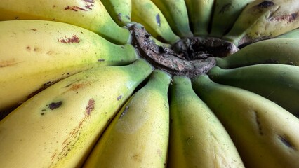 Close Up Radial Bunch of Fresh Yellow and Green Bananas © Danmoch