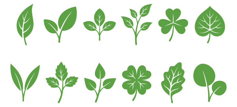 Various green leaves in a simple vector illustration with white background for design
