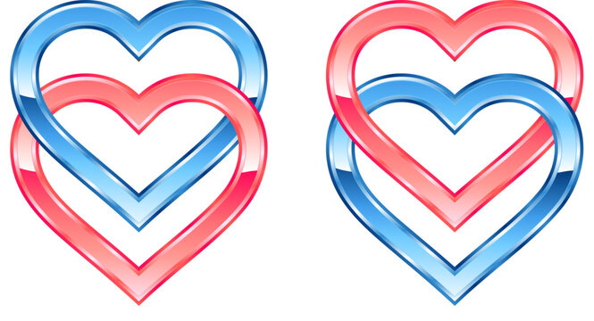two twin blue and pink valentines love hearts shiny metal metallic linked together vector on transparent background
