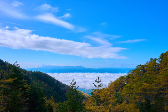 秋の長野県小諸市の黒斑山への登山途中にある車坂山付近から南西側の眺望(雲海,蓼科山など)