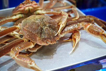 Fresh raw snow crabs known as Daege piled in a blue water container at a traditional Korean seafood market © mnimage