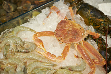 Fresh raw snow crabs known as Daege piled in a blue water container at a traditional Korean seafood market © mnimage