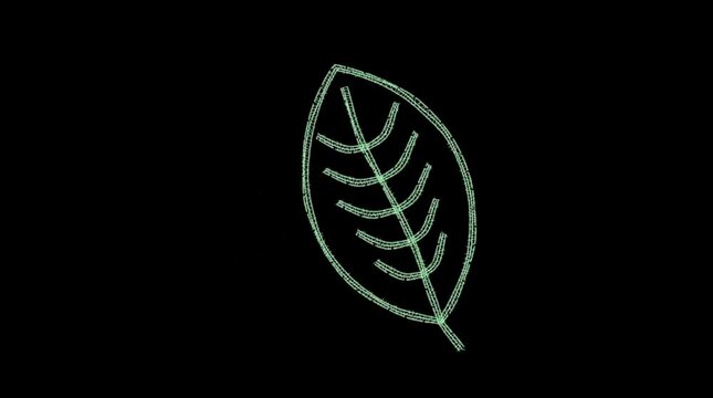 Glowing green wireframe leaf rotating smoothly against dark background in minimalist digital style
