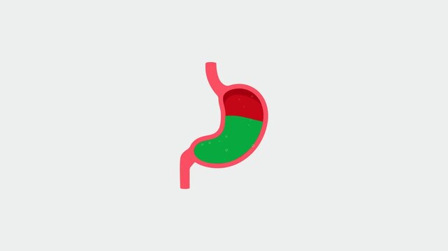 Stomach acid animation vividly demonstrates the red and green split digestion graphic illustration icon.
