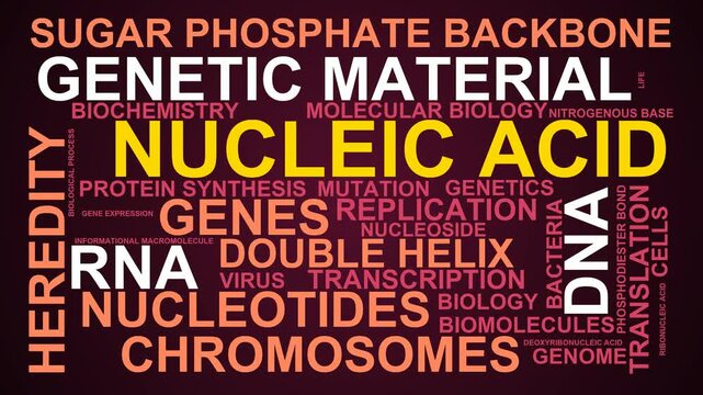 Nucleic Acid Word Cloud