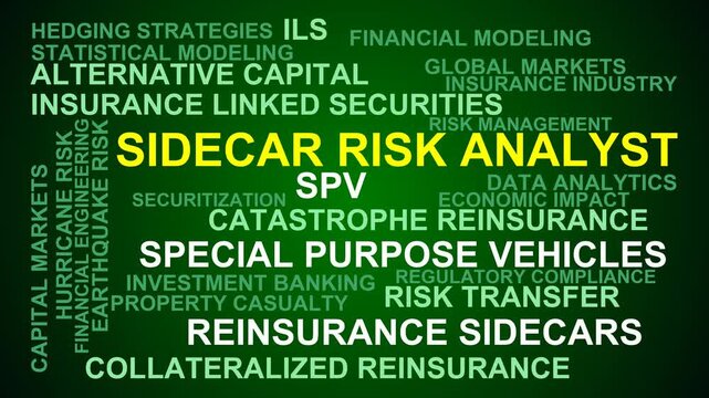 Sidecar Risk Analyst Word Cloud