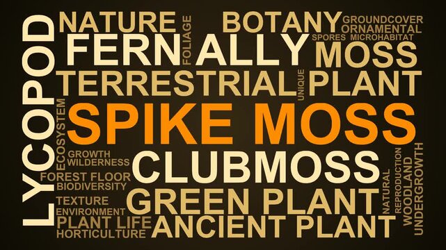 Spike Moss Word Cloud