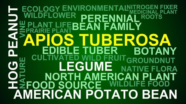 Apios Tuberosa Word Cloud