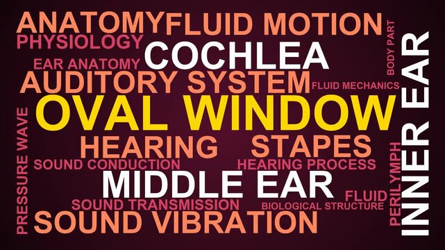 Oval Window Word Cloud
