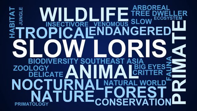 Slow Loris Word Cloud
