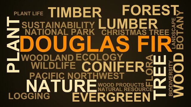 Douglas Fir Word Cloud