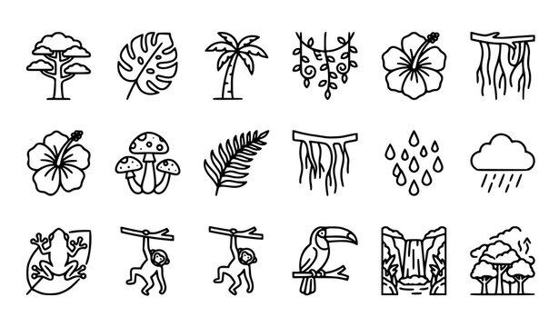 Tropical rainforest ecosystem outline vector icon set with canopy tree, monstera, palm, hanging vines, hibiscus, mushrooms, rain cloud, tree frog, monkey, toucan and waterfall