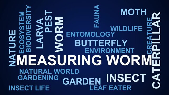 Measuring Worm Word Cloud