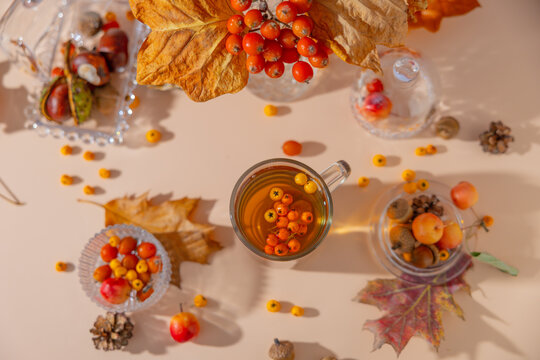Autumn herbal tea in glass cup with berries and acorns on table.