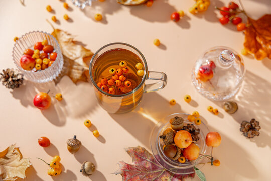 Herbal tea with berries acorns and leaves in bright sunlight