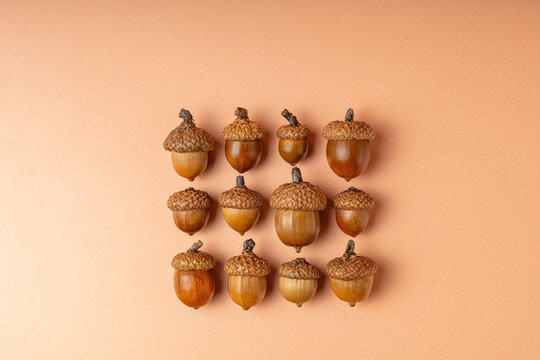 Symmetrical grid of acorns on beige background