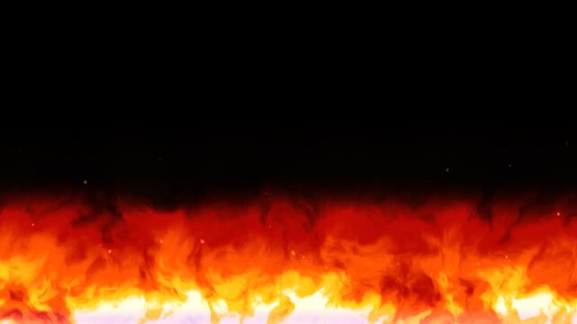 Vibrant fire flames rising and roaring on a black background for powerful visual effects