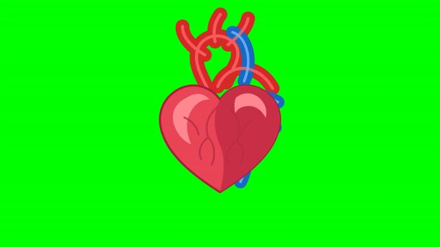 Cartoon anatomical hearts with red and blue veins on a solid green background. Vibrant medical illustration in a grid layout. Ideal for healthcare educational content and medical animations.