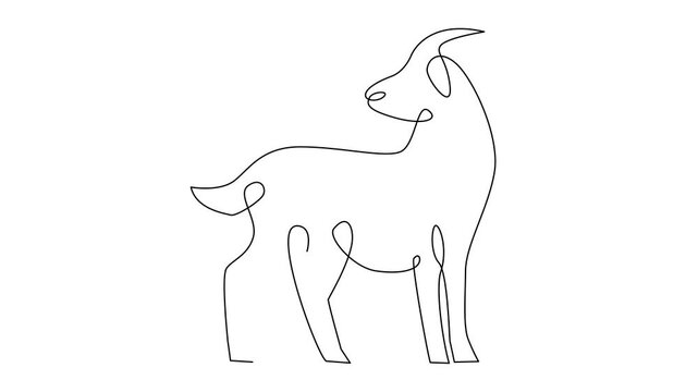 Continuous Line Drawing Animation of Goats in Various Poses, Minimalist Self-Drawing Vector Art