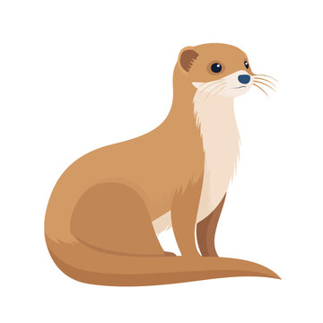 Modern flat 2D vector illustration of a Weasel, minimal design style on a white background.