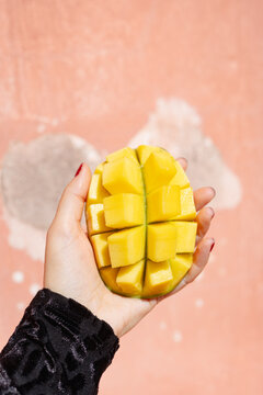 Female hand holds a fresh yellow mango as a healthy summer snack