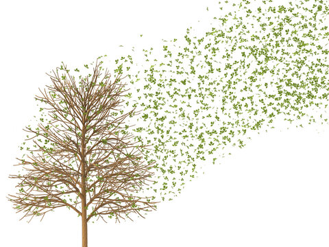 3D Rendering, tree and falling leaves in autumn