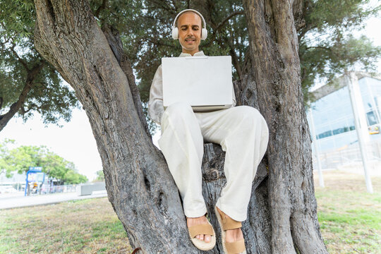 A freelancer uses a laptop in a tree in Barcelona