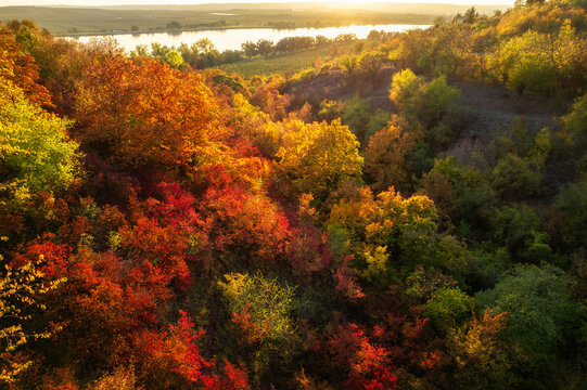 Wundersch&ouml;ner Herbstwald mit bunten Laubbl&auml;ttern in einem Tal an einem See